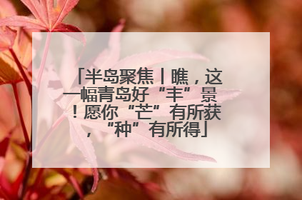 半岛聚焦丨瞧，这一幅青岛好“丰”景！愿你“芒”有所获，“种”有所得