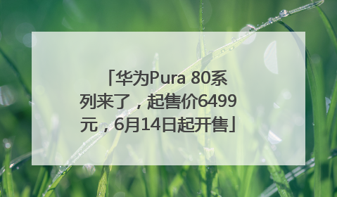 华为Pura 80系列来了，起售价6499元，6月14日起开售