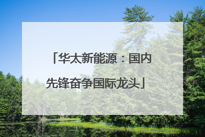 华太新能源：国内先锋奋争国际龙头