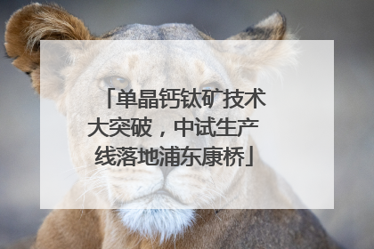 单晶钙钛矿技术大突破，中试生产线落地浦东康桥