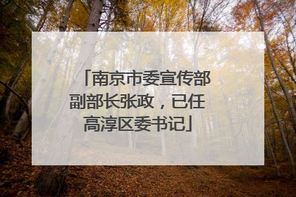 南京市委宣传部副部长张政，已任高淳区委书记