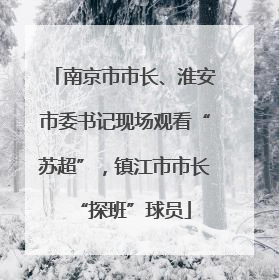 南京市市长、淮安市委书记现场观看“苏超”，镇江市市长“探班”球员