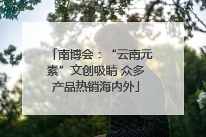 南博会：“云南元素”文创吸睛 众多产品热销海内外