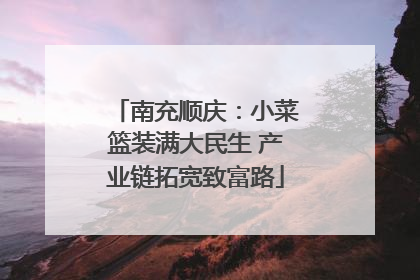 南充顺庆：小菜篮装满大民生 产业链拓宽致富路