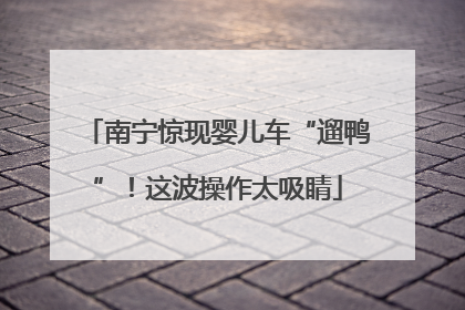南宁惊现婴儿车“遛鸭”！这波操作太吸睛