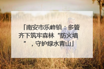 南安市乐峰镇：多管齐下筑牢森林“防火墙”，守护绿水青山