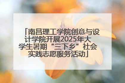 南昌理工学院创意与设计学院开展2025年大学生暑期“三下乡”社会实践志愿服务活动