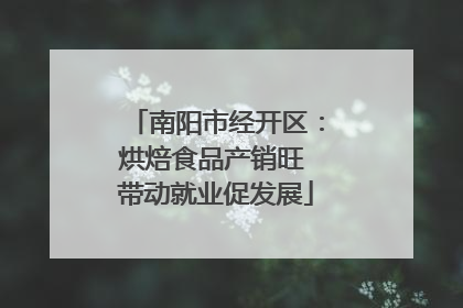 南阳市经开区：烘焙食品产销旺 带动就业促发展