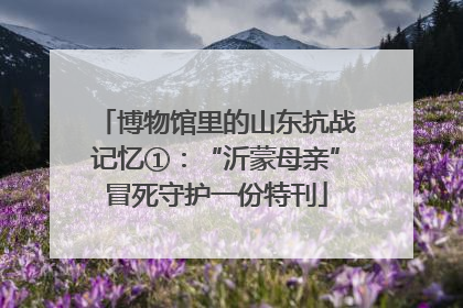 博物馆里的山东抗战记忆①：“沂蒙母亲”冒死守护一份特刊