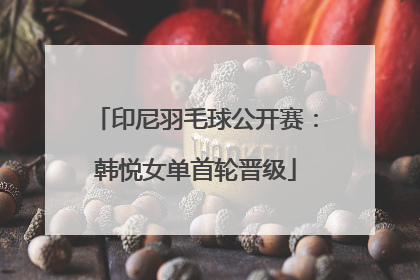 印尼羽毛球公开赛：韩悦女单首轮晋级