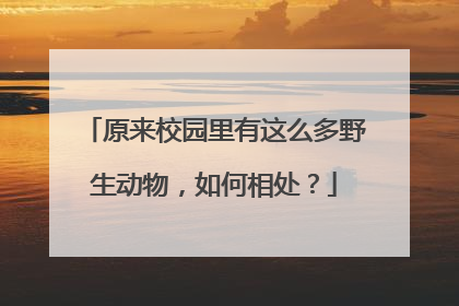 原来校园里有这么多野生动物，如何相处？