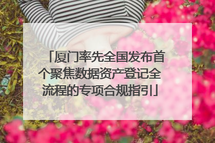 厦门率先全国发布首个聚焦数据资产登记全流程的专项合规指引