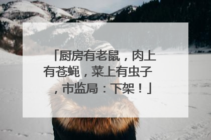 厨房有老鼠，肉上有苍蝇，菜上有虫子，市监局：下架！