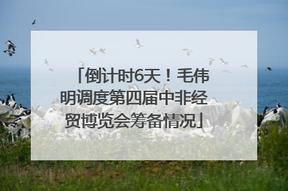 倒计时6天！毛伟明调度第四届中非经贸博览会筹备情况