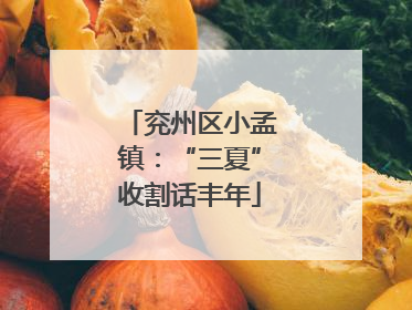 兖州区小孟镇：“三夏”收割话丰年