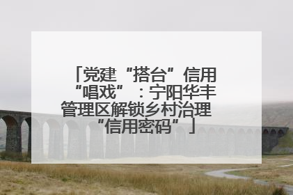 党建“搭台”信用“唱戏”：宁阳华丰管理区解锁乡村治理“信用密码”