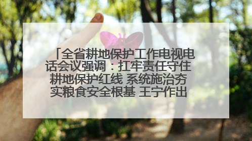 全省耕地保护工作电视电话会议强调：扛牢责任守住耕地保护红线 系统施治夯实粮食安全根基 王宁作出批示 王予波出席并讲话