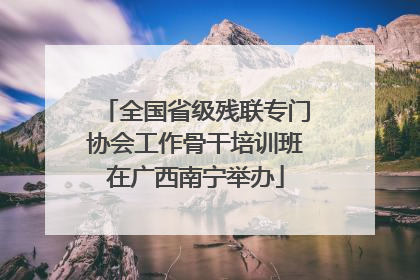 全国省级残联专门协会工作骨干培训班在广西南宁举办