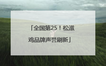 全国第25！松滋鸡品牌声誉刷新