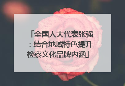 全国人大代表张强：结合地域特色提升检察文化品牌内涵