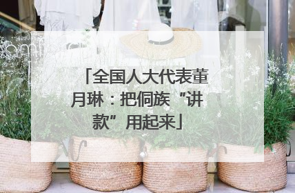 全国人大代表董月琳：把侗族“讲款”用起来