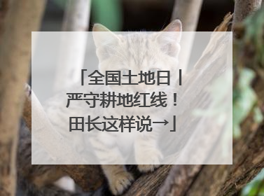 全国土地日丨严守耕地红线！田长这样说→