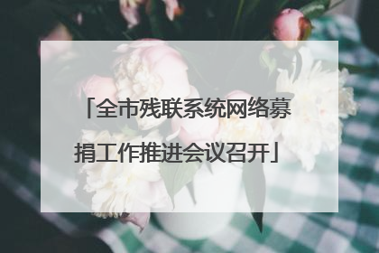 全市残联系统网络募捐工作推进会议召开