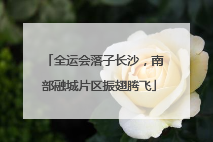 全运会落子长沙，南部融城片区振翅腾飞