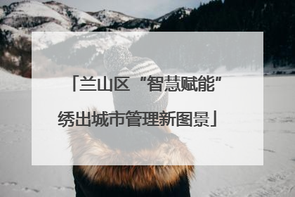 兰山区“智慧赋能”绣出城市管理新图景