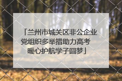 兰州市城关区非公企业党组织多举措助力高考 暖心护航学子圆梦