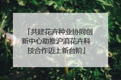 共建花卉种业协同创新中心助推沪滇花卉科技合作迈上新台阶