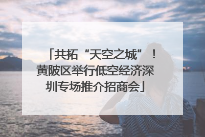 共拓“天空之城”！黄陂区举行低空经济深圳专场推介招商会