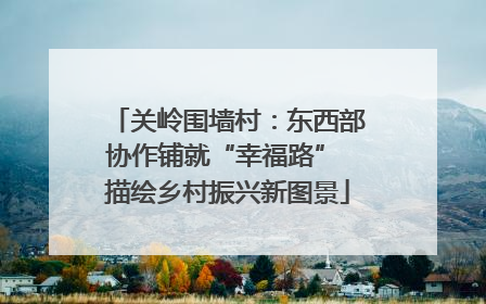 关岭围墙村：东西部协作铺就“幸福路” 描绘乡村振兴新图景
