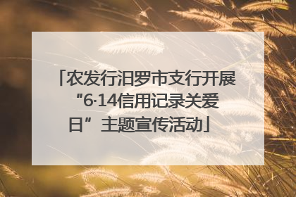 农发行汨罗市支行开展“6·14信用记录关爱日”主题宣传活动