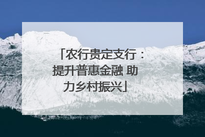 农行贵定支行：提升普惠金融 助力乡村振兴