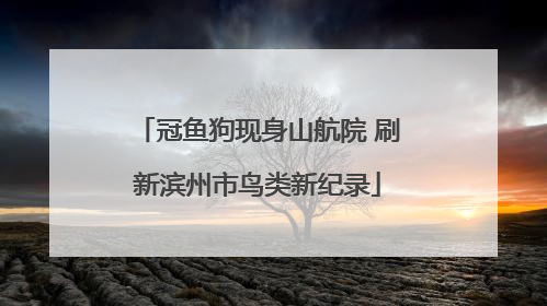 冠鱼狗现身山航院 刷新滨州市鸟类新纪录