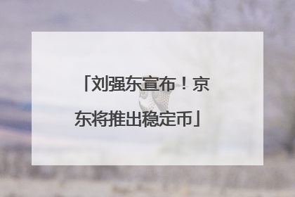 刘强东宣布！京东将推出稳定币