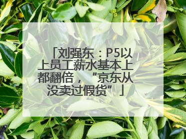 刘强东：P5以上员工薪水基本上都翻倍，“京东从没卖过假货”