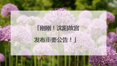 刚刚！沈阳故宫发布重要公告！