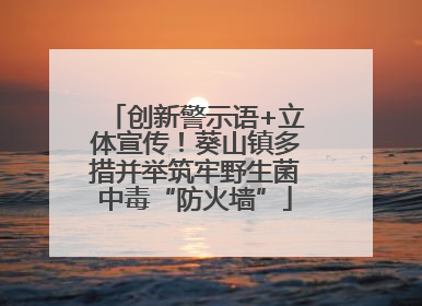 创新警示语+立体宣传！葵山镇多措并举筑牢野生菌中毒“防火墙”