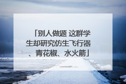 别人做题 这群学生却研究仿生飞行器、青花椒、水火箭