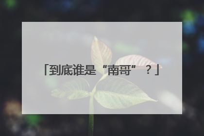 到底谁是“南哥”？
