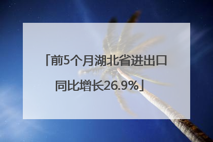 前5个月湖北省进出口同比增长26.9%