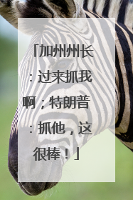 加州州长：过来抓我啊；特朗普：抓他，这很棒！
