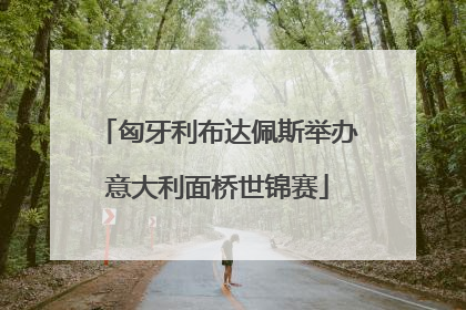 匈牙利布达佩斯举办意大利面桥世锦赛