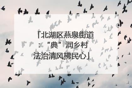 北湖区燕泉街道：“典”润乡村 法治清风拂民心
