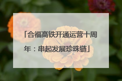 合福高铁开通运营十周年：串起发展珍珠链