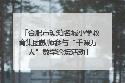 合肥市琥珀名城小学教育集团教师参与“千课万人”数学论坛活动