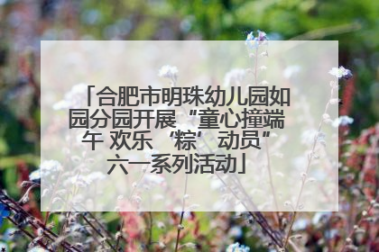 合肥市明珠幼儿园如园分园开展“童心撞端午 欢乐‘粽’动员”六一系列活动