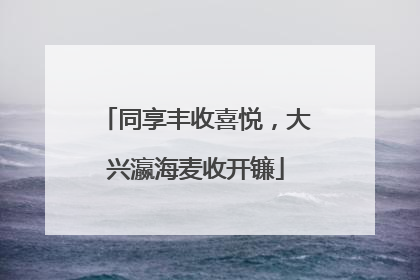 同享丰收喜悦，大兴瀛海麦收开镰